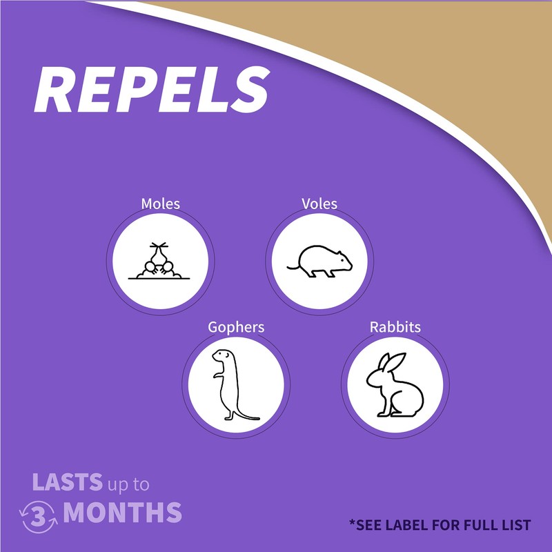 Bonide MOLEMAX Mole & Vole Repellent, 32 oz Ready-to-Use Spray