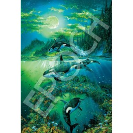 Epoch Inc. 28-337s 300 Piece Jigsaw Puzzle, Orca Ocean Souls, 10.2 x 15.0 inches (26 x 38 cm)