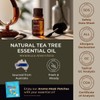 Gya Labs Melissa Essential Oil for Diffuser & Tea Tree