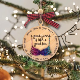 My Best Friend Ornament for Women, Friendship Christmas Ornament for Women Friends, Friendship Gifts for Women Friend, Funny for Adults, White Elephant Gifts for Adults