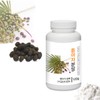 [Medicinal Herbal Powder] Prince Natural Saw Palmetto/Serenoa Repens Berries Extract