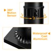 Lamomo Pier Mount Base with Dusk to Dawn Motion Sensor,