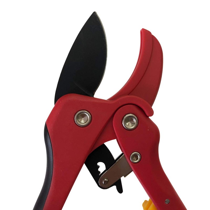 [Owl/Owl] gurasufaiba-ratyetto Pruning Shears konbakuto # 554