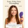 Lily England Detangler Brush (Ombre)