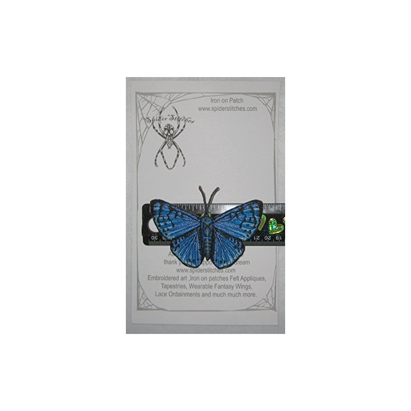 Blue Metalmark Butterfly Lasaia Sula Iron on or Sew on