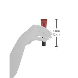 L'Oréal Paris Infallible Paints/Lips, Nude Star, 0.27 fl. oz.