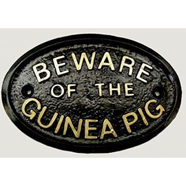 "BEWARE OF THE GUINEA PIG" HOUSE/GARDEN WALL PLAQUE (BLACK) WITH GOLD RAISED LETTERING