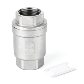 TAISHER 1PCS 304 Stainless Steel 2" Female Vertical Check Valve，Backflow Prevention, One Way Spring Check Valves CF8 WOG 1000