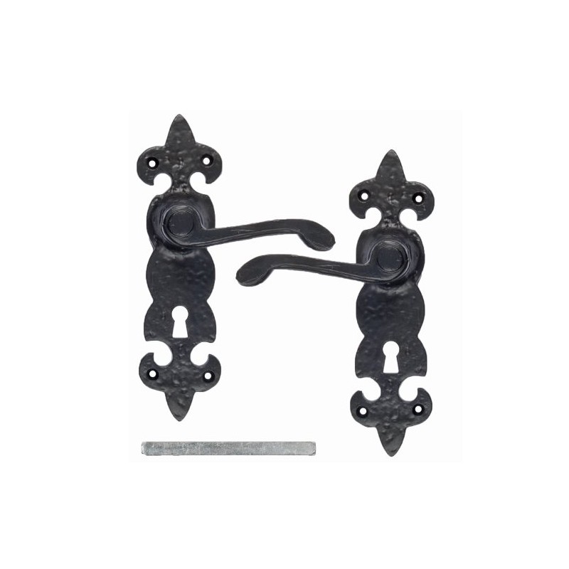 Black Cast Iron Fleur De Lys Door Antique Handles Bathroom