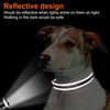 Joytale Reflective Dog Collar, Soft Neoprene Padded, Metal D-Ring, Nylon