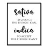 Sativa To Change The Things I Can, Indica To Accept