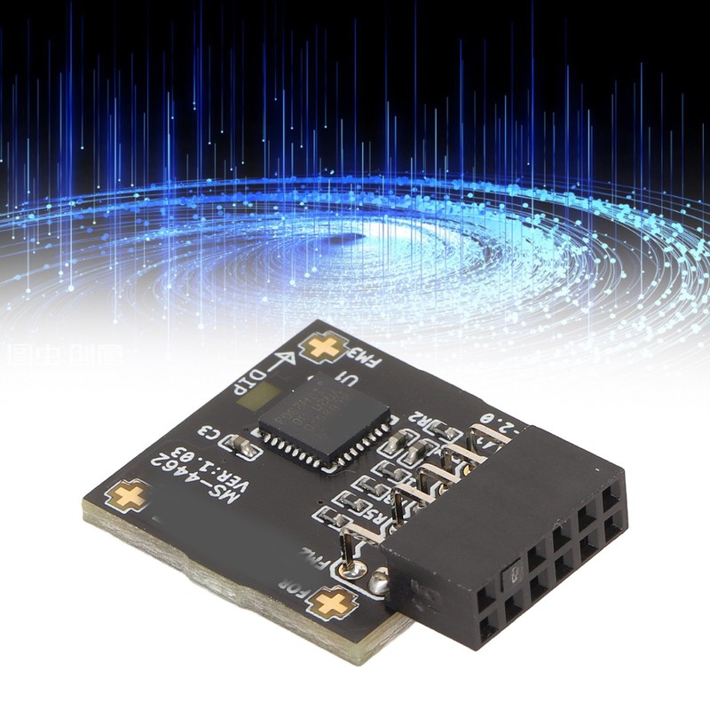 TPM2.0 Module TPM SPI 12Pin Module with SLB 9670 Standalone