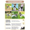 BaoCheng Anti-Pull Dog Harness, Small/Medium/Large Dogs, Breathable Mesh, Easy to