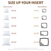 20x20 Inch Pillow Inserts (Set of 2) Synthetic Down Alternative