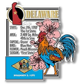 Delaware State Montage Magnet by Classic Magnets, 2.8" x 3.3", Collectible Souvenirs Made in The USA