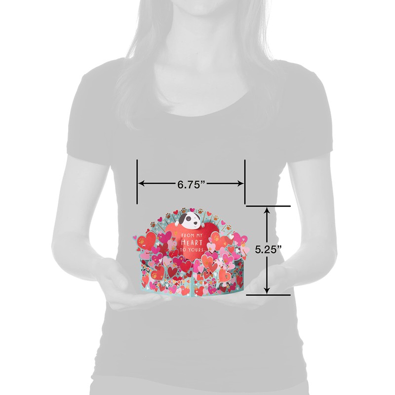 American Greetings Valentine's Day Card (Happy Valentine's Day)