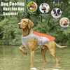 Dolahovy Dog Cooling Vest Harness,Breathable Mesh Dog Cool Jacket Adjustable