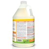 OdoBan Disinfectant Concentrate and Odor Eliminator, 1 Gallon, Citrus Scent
