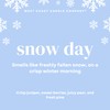 Snow Day Pet Odor Eliminator - All Natural, Non-Toxic, Pure