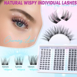 Lash Clusters Natural Eyelash Clusters D Curl Cluster Lashes zanlufly Wispy Individual Lashes Cluster Eyelash Extension 10-14MM DIY Lash Extension