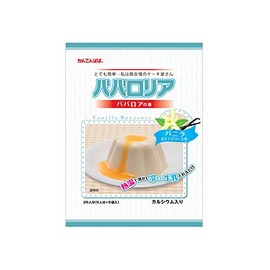 Ina Foods Bavaroria Bavarois Ingredients Vanilla with Orange Sauce, 17.6 oz (500 g), Commercial Use, Bavarois