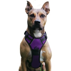 No Pull Dog Harness, Adjustable, Breathable, Reflective, Soft Padded Dog Harness, Chest Harness for Dogs (Purple, XL)