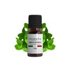 Oxxigena - Peppermint Essential Oil - 10ml - Made in