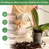 Orchid Potting Mix,1 Quart Premium Orchid Potting Mix for Repotting