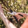 Fiskars Fiskars Bypass Pruning Shears, 5/8-Inch Cut Capacity Garden Clippers,