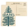 Idaho, Blue Spruce Tree, (4x6 Birch Wood Postcards, 2-Pack Stationary,