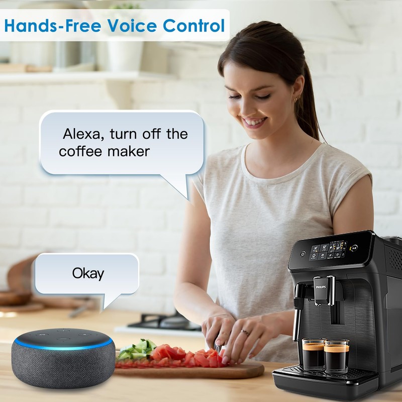 Smart Plug 10A FreshLink Smart Indoor Socket Wi-Fi Bluetooth Outlet