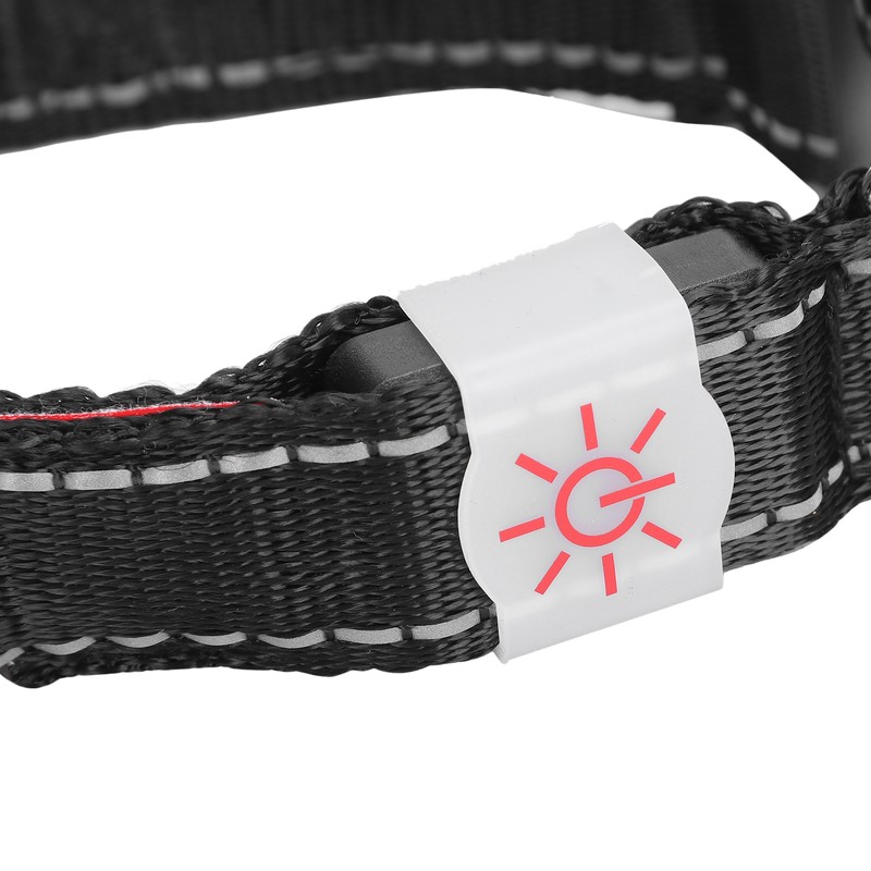 LED Pet Adjustable Collar USB Rechargeable Soft Dog Lighting Night