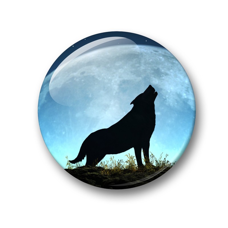 Wolf Wolf Grey Wolf European Wolf Fridge Magnets Set of
