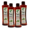 Tratamiento Shampoo Anticaída Árbol Verde 4pzs Romero Sábila