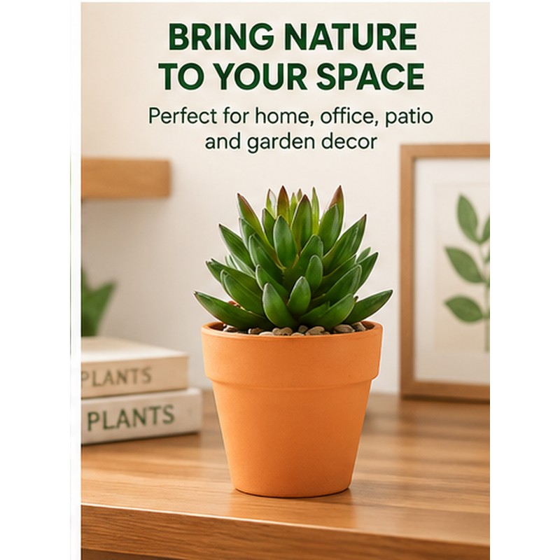 16-Pack Mini Terracotta Pots for Succulents & Cactus – 1.8-Inch