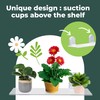 Window Garden Suction Cup Window Shelf - Set of 2-5mm