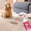 PUPIBOO Wee Out Pet Urine Enzyme Cleaner, Stain and Odor