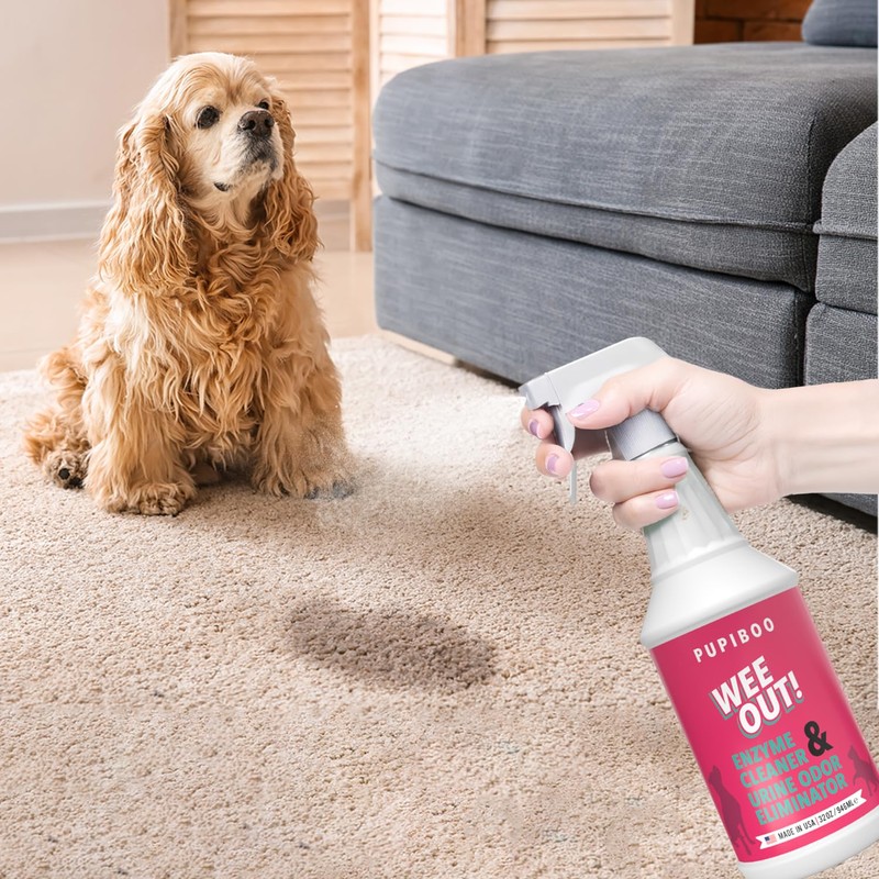 PUPIBOO Wee Out Pet Urine Enzyme Cleaner, Stain and Odor