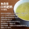 Organic Yakushima Roasted Tea (Tea Bags) [Mf1/3]