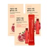 Healthy Place Low Molecular Pomegranate Collagen Stick 14 Packs 3