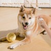 Soft Pet Grooming Brush, Bristle Palm Brush, Short Haired Dog
