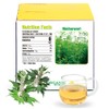 Soilmount 100% Natural Motherwort Tea, Dried Motherwort, Leonurus Japonicus, Chinese
