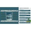 Focus Fusion Ashwagandha Gummies