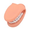 Mouth Puppet with Tongue 28 Teeth Silicone Speech Therapy Demonstration