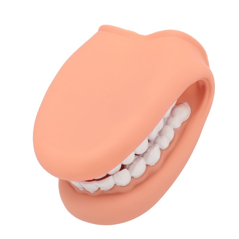Mouth Puppet with Tongue 28 Teeth Silicone Speech Therapy Demonstration