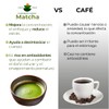 Zen Tea Té Verde Matcha Natural y Orgánico Sin Azúcar