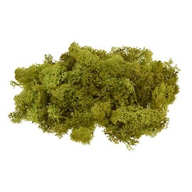 Wiedenmann 100 g Real Iceland Moss, Modelable, Decoration, Modeling, May Green, 100 g, Natural Product