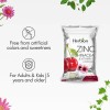 Herbion Pastillas Zinc Equincea Vitamina C Sabor Cereza 125 Na