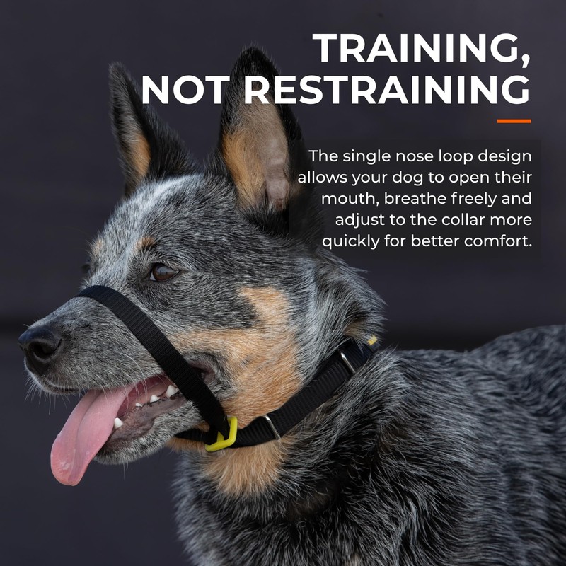 Canny Collar No Pull Dog Head Collar, Lead Training Head