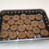 Plant Starter Pellets 36mm x 20 Made With Coco Coir